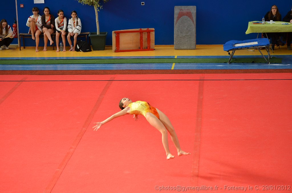 Copie de DSC_8552.JPG